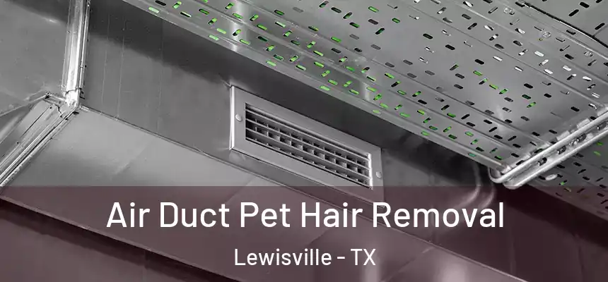 Air Duct Pet Hair Removal Lewisville - TX