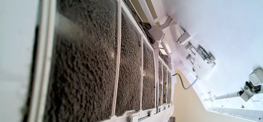 Preventive Air Duct Bacteria Removal in Lewisville