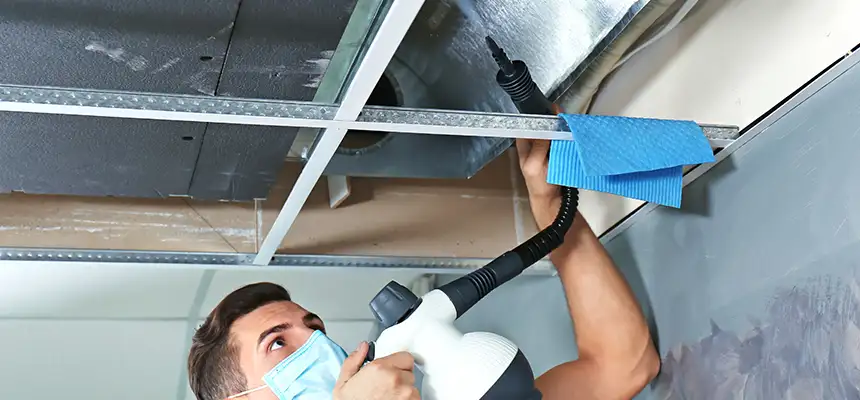 Our Air Duct Rodent Removal Services in Lewisville, TX