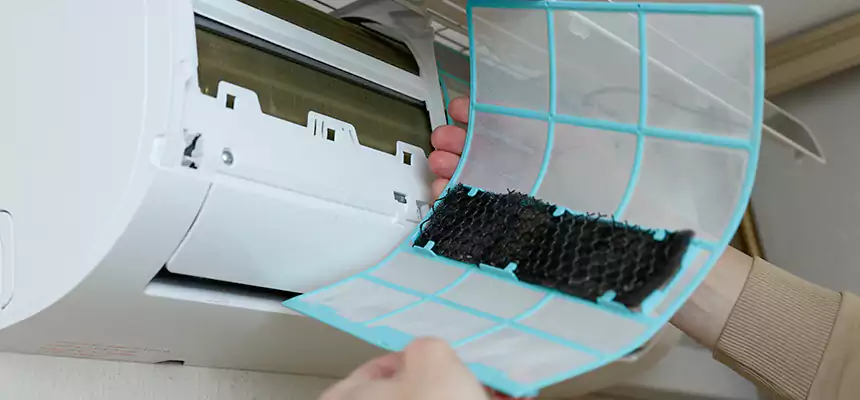 Gentle Ductwork Odor-Control Pet Dander Duct Cleaning in Lewisville, TX