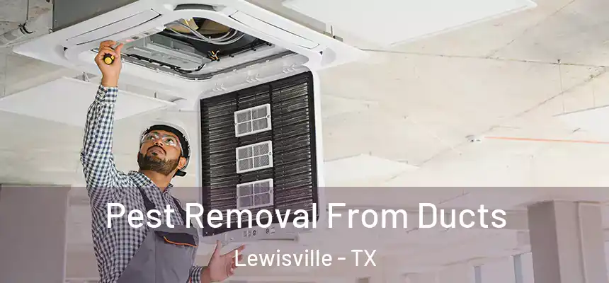  Pest Removal From Ducts Lewisville - TX