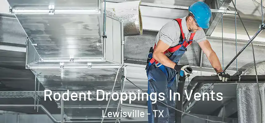  Rodent Droppings In Vents Lewisville - TX