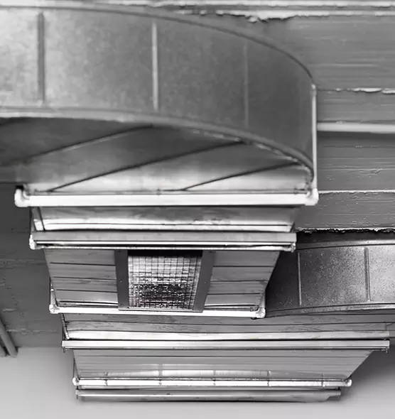 Professional Air Duct Pest Removal in Lewisville, TX