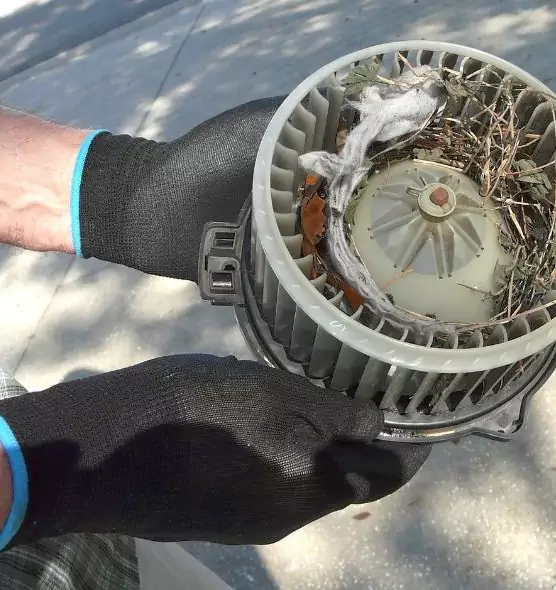 About Air Duct Rat Removal in Lewisville, TX