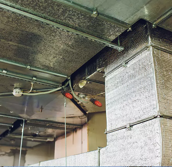 Why Homeowners & Businesses Trust Us in Lewisville, TX?