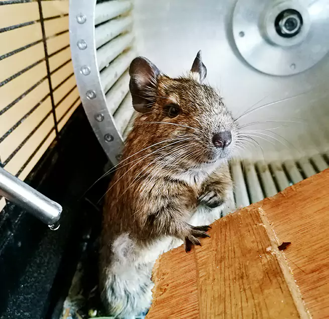 Why Homeowners & Businesses Trust Us Lewisville, TX