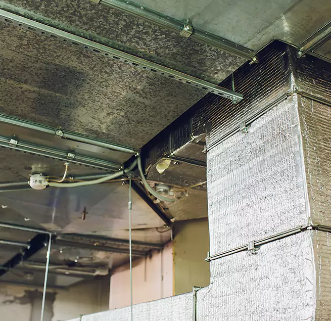 Why Homeowners & Businesses Trust Us in Lewisville, TX?